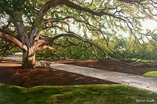 Texas A&M- Century Tree
